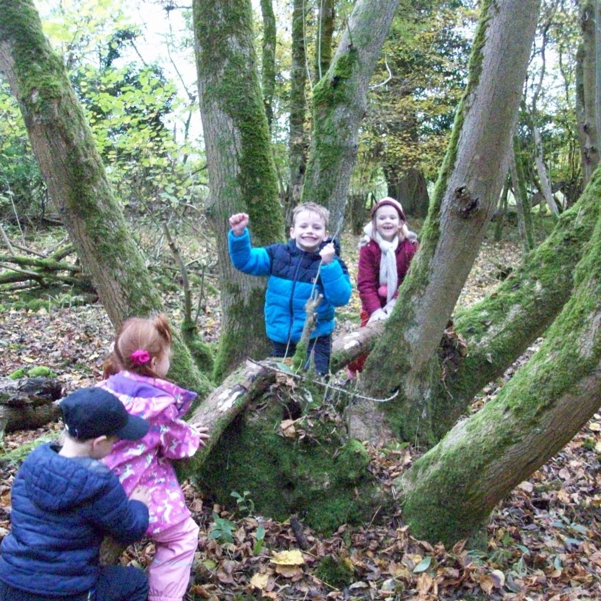 Stanton St Quintin - Science fun in the woods